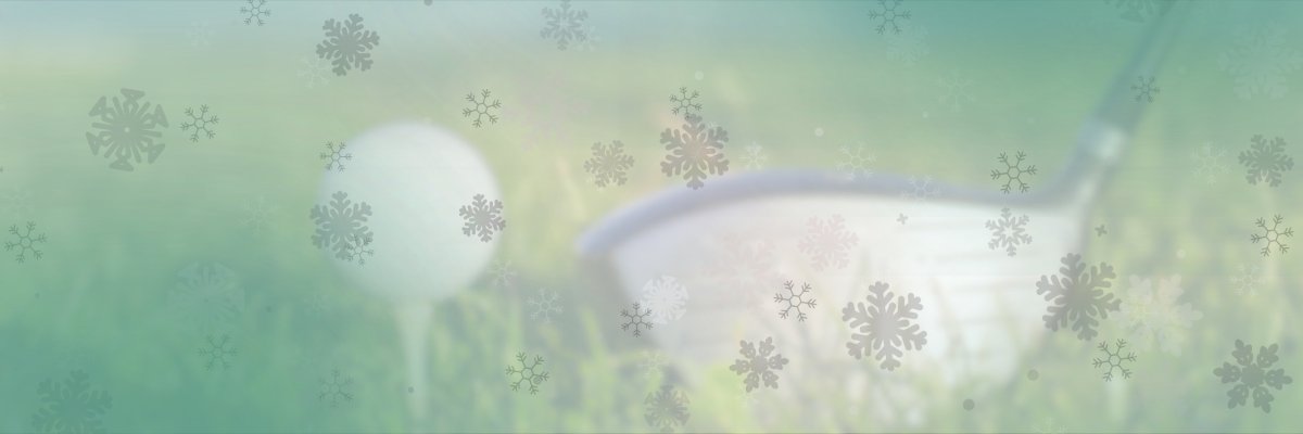 GolferIS.cz s.r.o. - Homepage