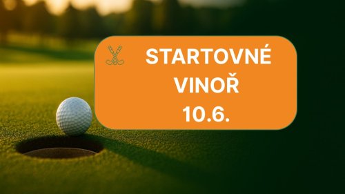 Turnajová hra domáci hráč Vinoř